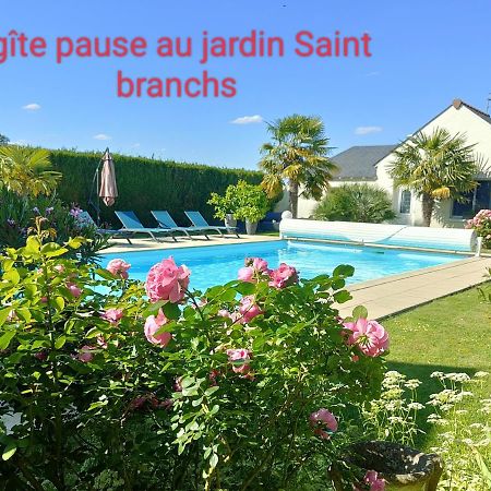 Gite Pause Au Jardin Piscine Chauffee Saint-Branchs Eksteriør billede