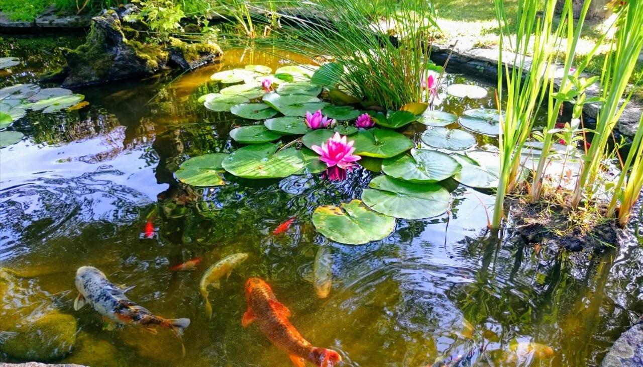 Gite Pause Au Jardin Piscine Chauffee Saint-Branchs Eksteriør billede