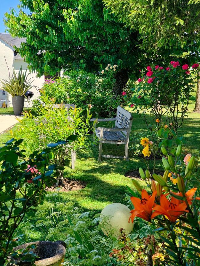Gite Pause Au Jardin Piscine Chauffee Saint-Branchs Eksteriør billede