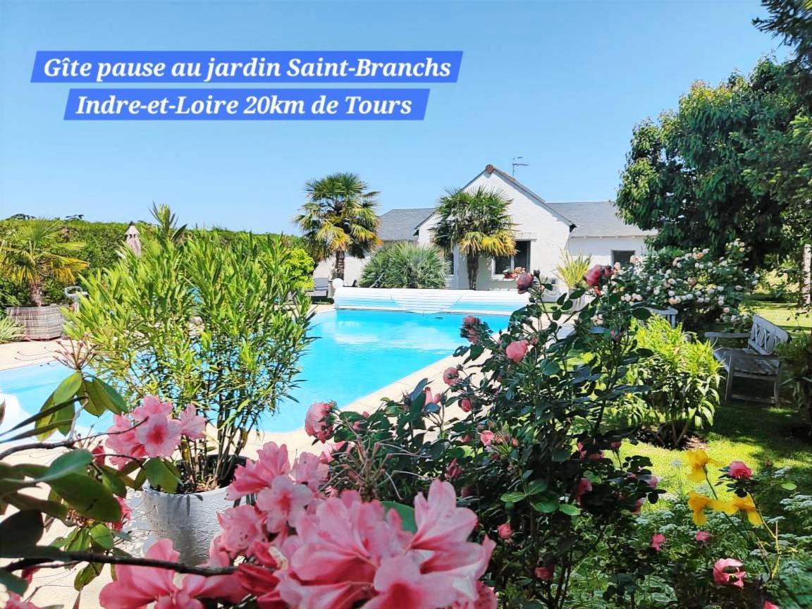 Gite Pause Au Jardin Piscine Chauffee Saint-Branchs Eksteriør billede